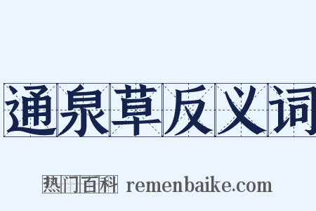 通泉草反义词是什么意思的图片